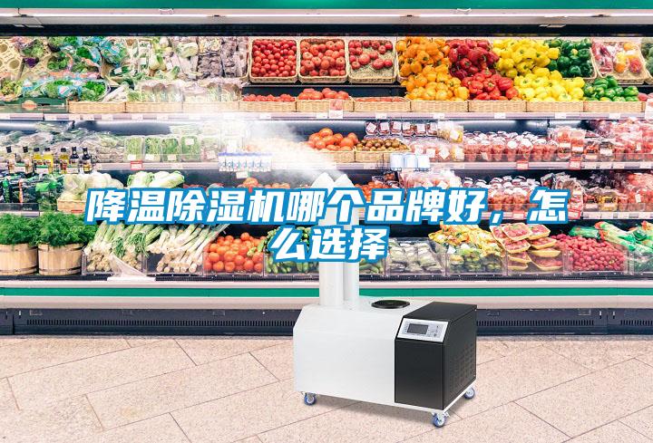 降温除湿机哪个品牌好，怎么选择