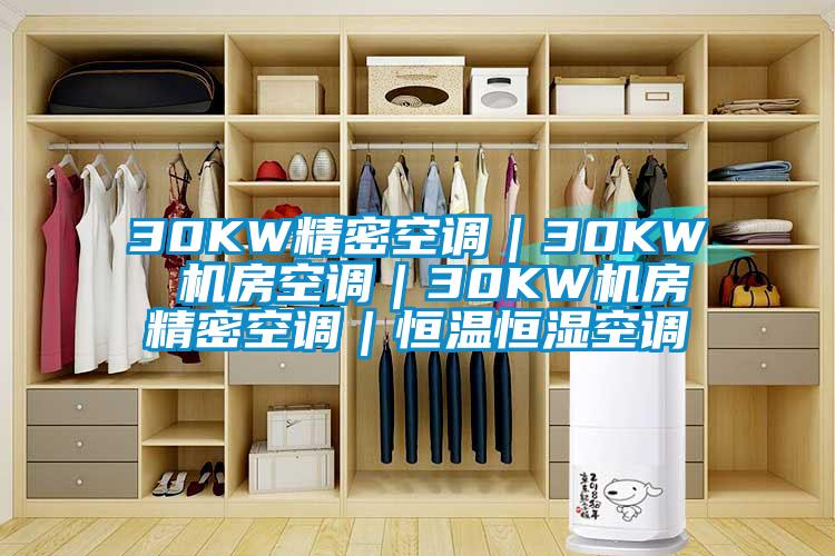 30KW精密空调｜30KW 机房空调｜30KW机房精密空调｜恒温恒湿空调