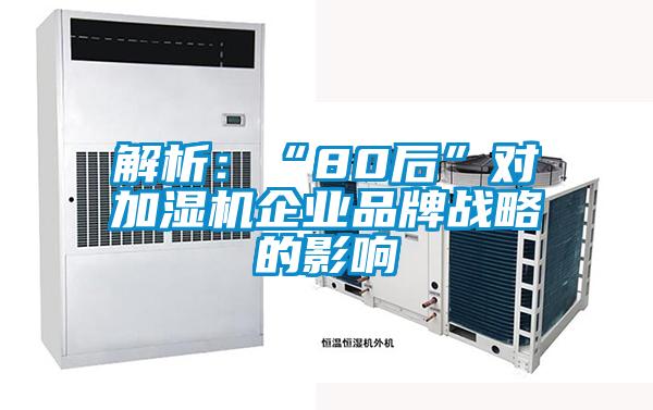 解析：“80后”对加湿机企业品牌战略的影响
