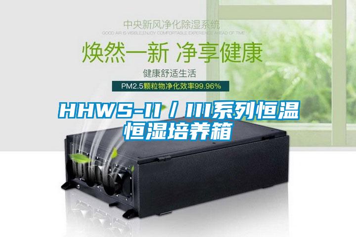 HHWS-II／III系列恒温恒湿培养箱