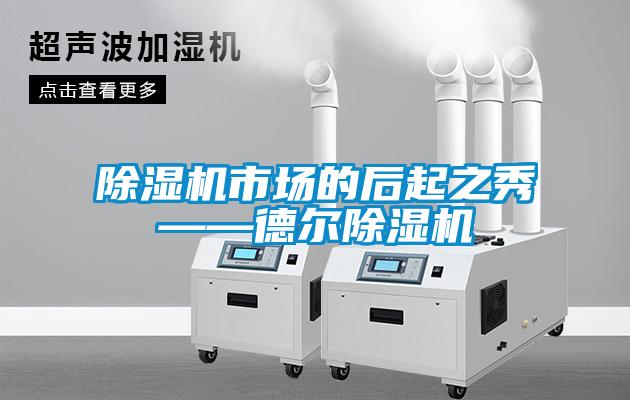 除湿机市场的后起之秀——德尔除湿机