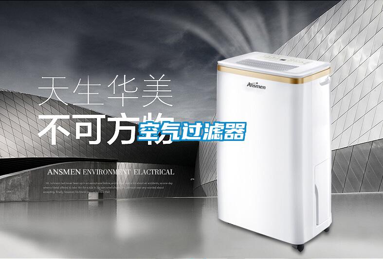 空气过滤器