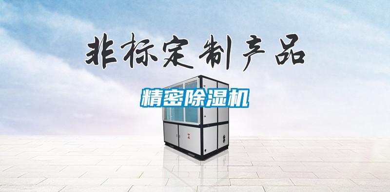 精密除湿机