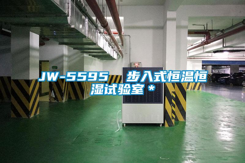 JW-5595  步入式恒温恒湿试验室＊