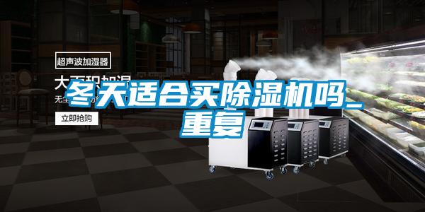 冬天适合买除湿机吗_重复