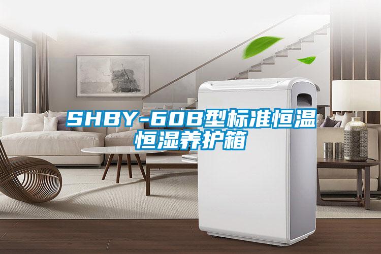 SHBY-60B型标准恒温恒湿养护箱
