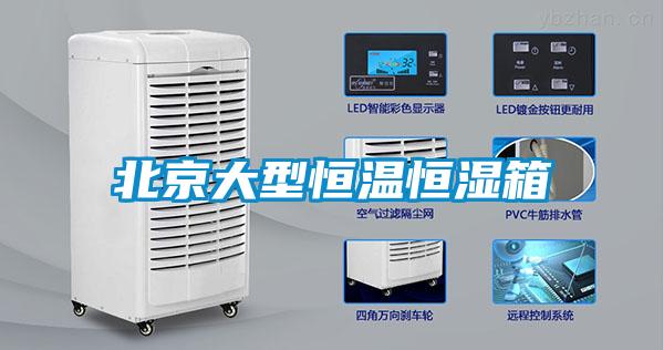北京大型恒温恒湿箱