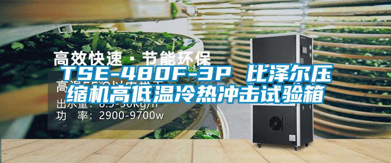 TSE-480F-3P 比泽尔压缩机高低温冷热冲击试验箱