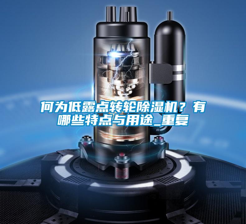 何为低露点转轮除湿机？有哪些特点与用途_重复