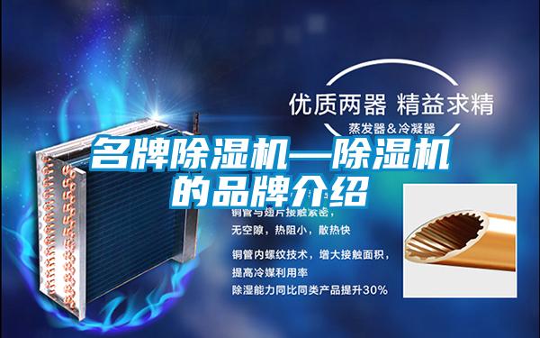 名牌除湿机—除湿机的品牌介绍