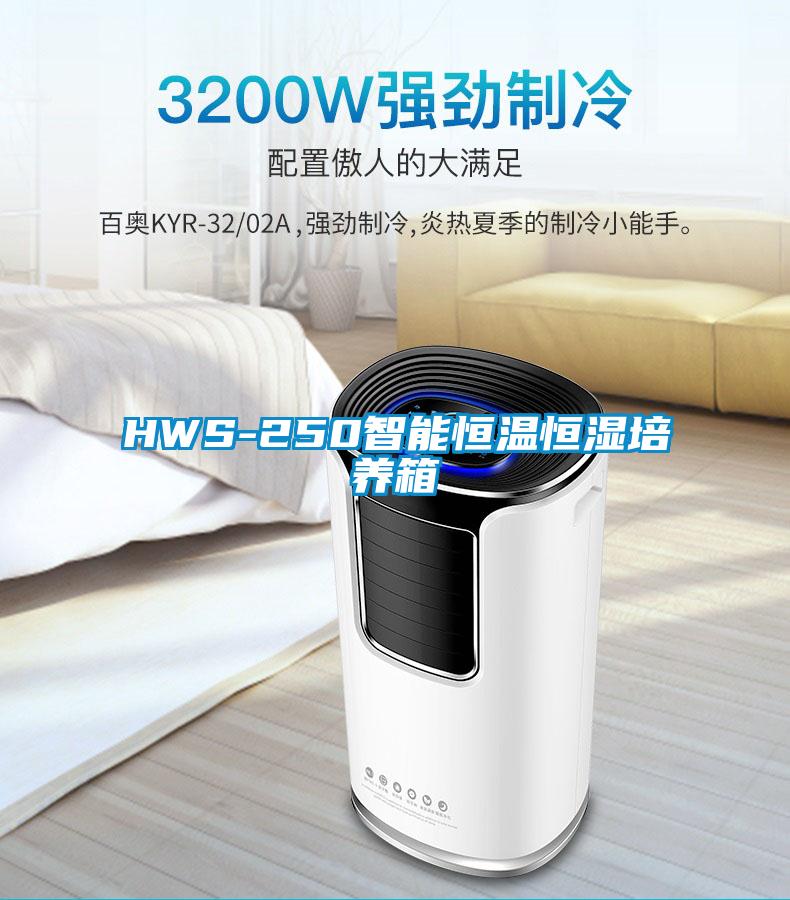 HWS-250智能恒温恒湿培养箱