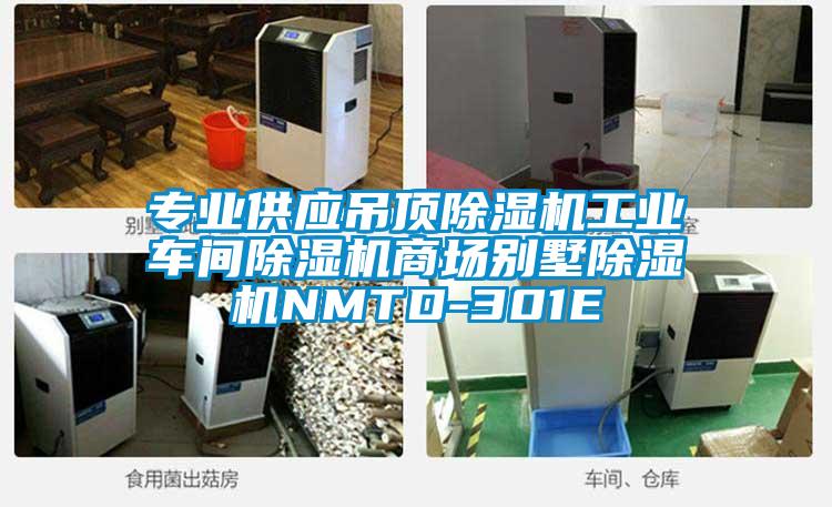 专业供应吊顶除湿机工业车间除湿机商场别墅除湿机NMTD-301E