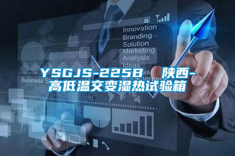YSGJS-225B  陕西-高低温交变湿热试验箱