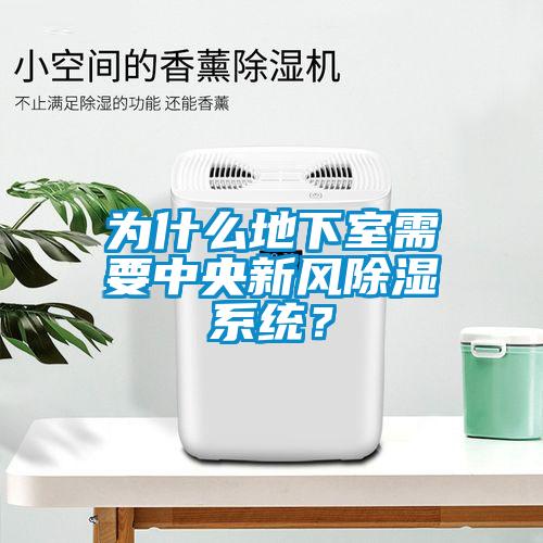 为什么地下室需要中央新风除湿系统？