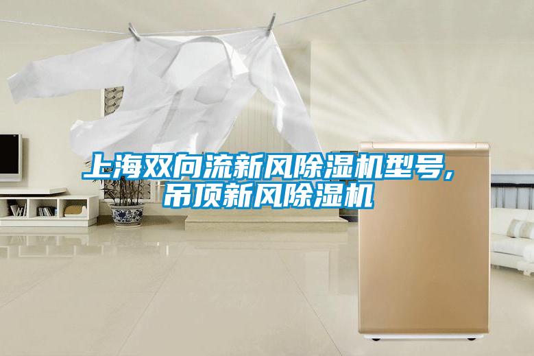 上海双向流新风除湿机型号,吊顶新风除湿机