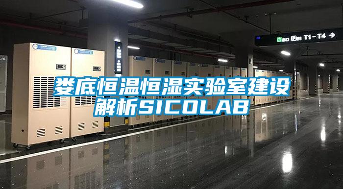 娄底恒温恒湿实验室建设解析SICOLAB