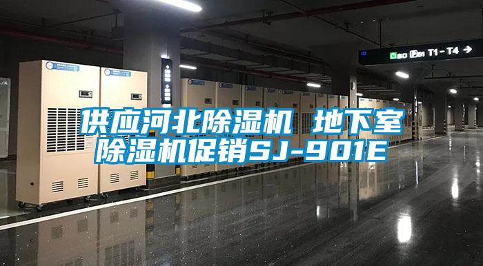 供应河北除湿机 地下室除湿机促销SJ-901E