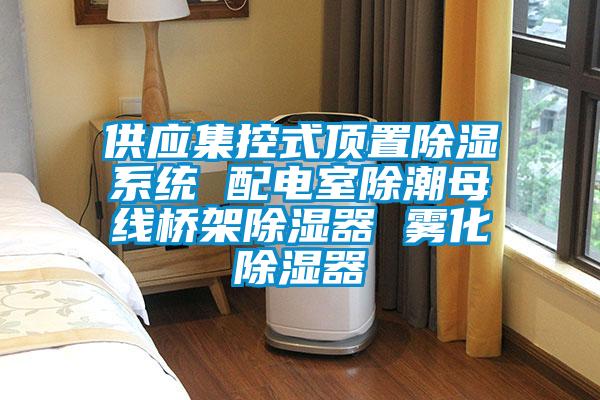 供应集控式顶置除湿系统 配电室除潮母线桥架除湿器 雾化除湿器
