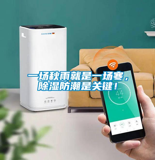 一场秋雨就是一场寒，除湿防潮是关键！