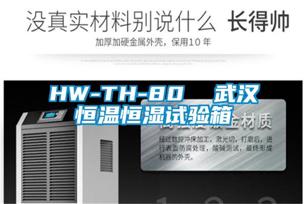 HW-TH-80  武汉恒温恒湿试验箱