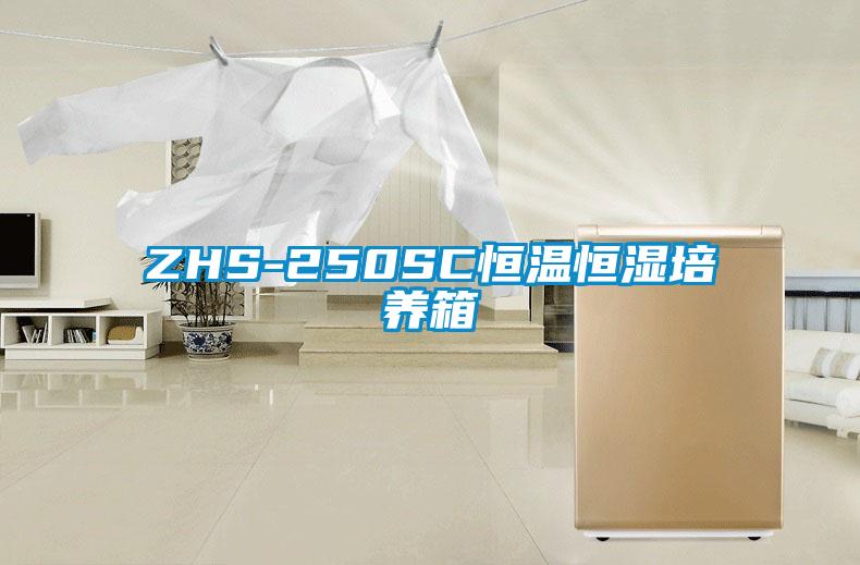 ZHS-250SC恒温恒湿培养箱