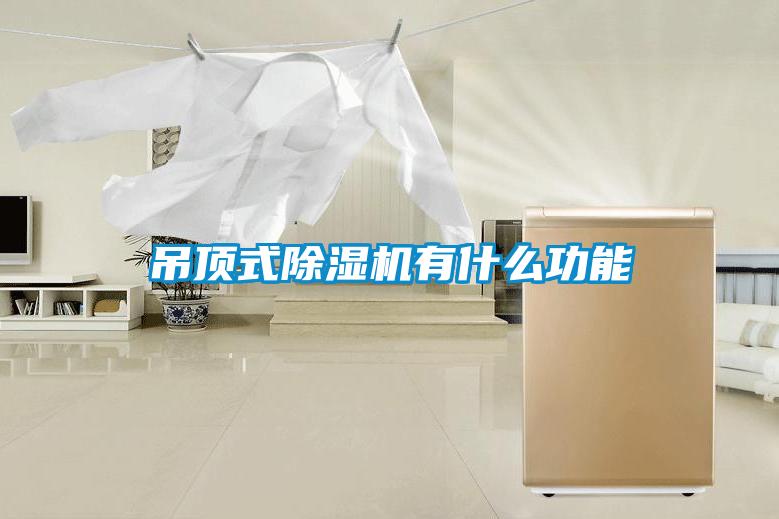 吊顶式除湿机有什么功能