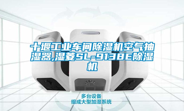 十堰工业车间除湿机空气抽湿器,湿菱SL-9138E除湿机
