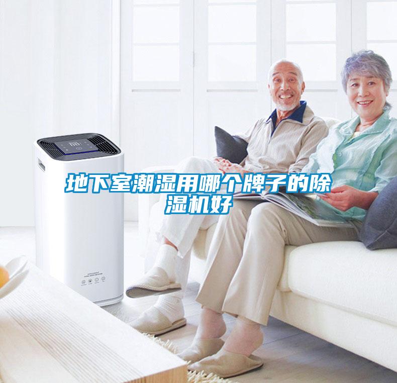 地下室潮湿用哪个牌子的除湿机好