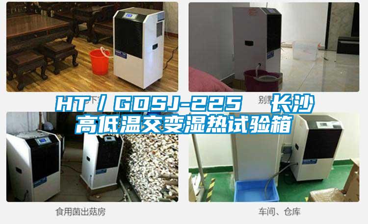 HT／GDSJ-225  长沙高低温交变湿热试验箱