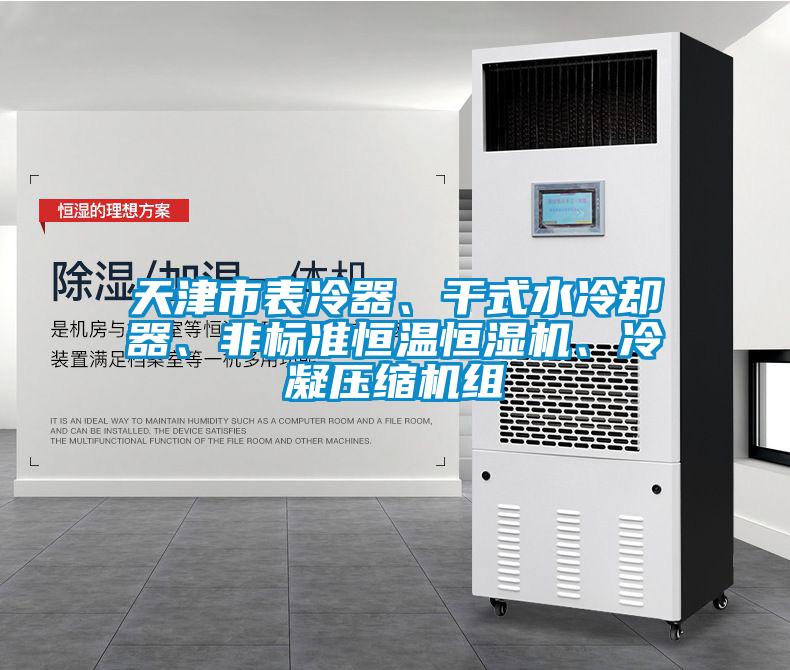 天津市表冷器、干式水冷却器、非标准恒温恒湿机、冷凝压缩机组