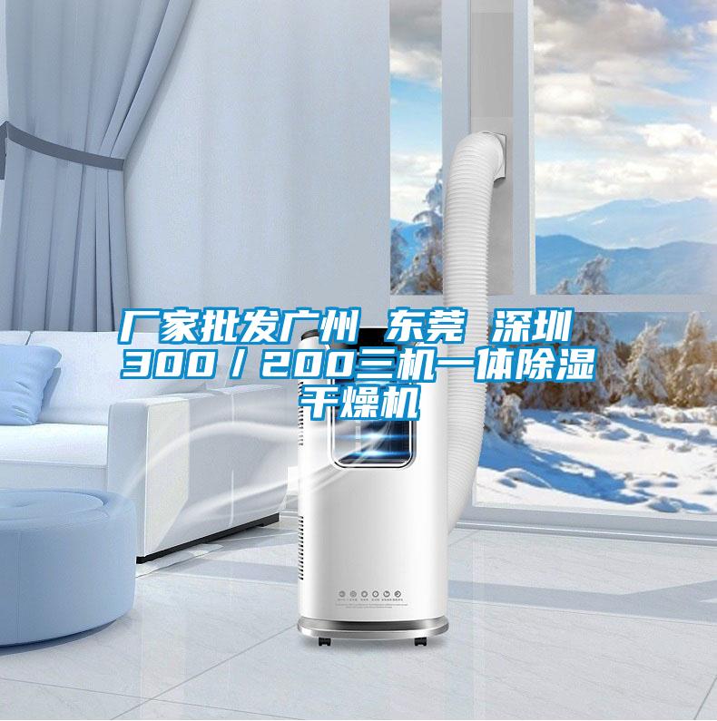 厂家批发广州 东莞 深圳 300／200三机一体除湿干燥机