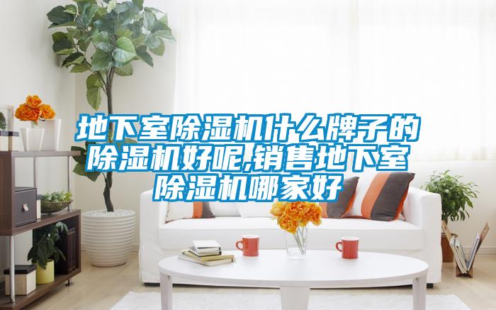 地下室除湿机什么牌子的除湿机好呢,销售地下室除湿机哪家好