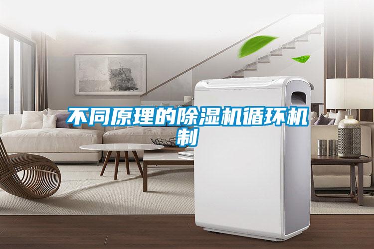 不同原理的除湿机循环机制