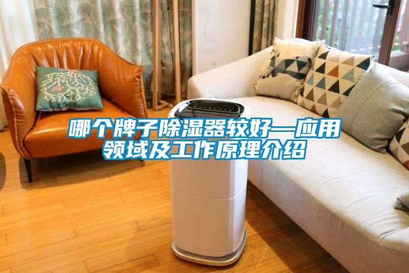 哪个牌子除湿器较好—应用领域及工作原理介绍