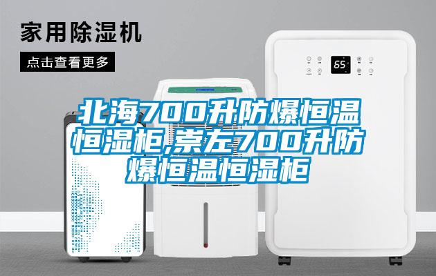 北海700升防爆恒温恒湿柜,崇左700升防爆恒温恒湿柜