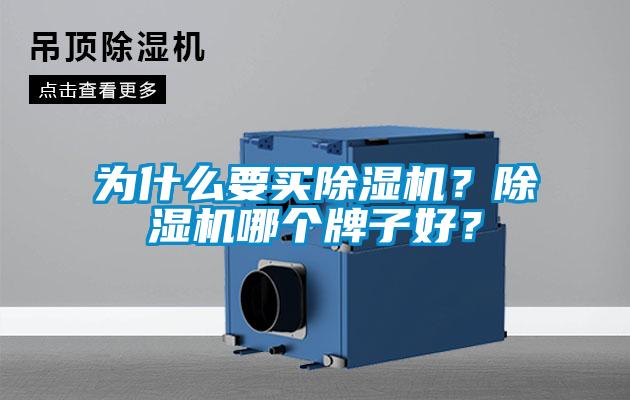 为什么要买除湿机？除湿机哪个牌子好？