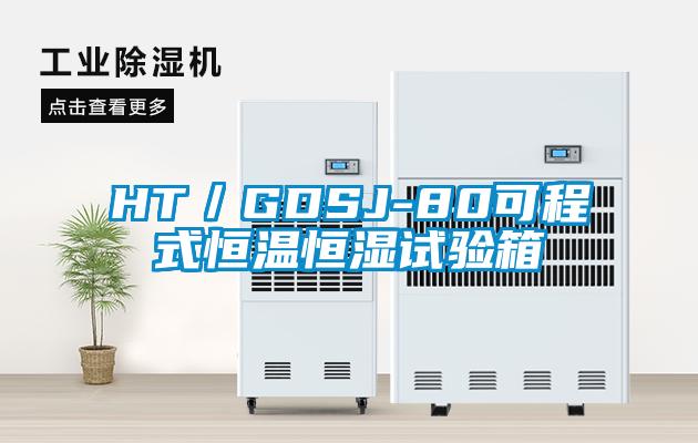 HT／GDSJ-80可程式恒温恒湿试验箱