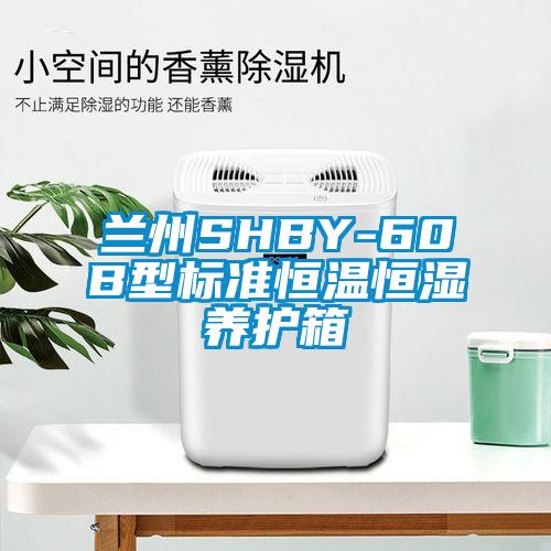 兰州SHBY-60B型标准恒温恒湿养护箱