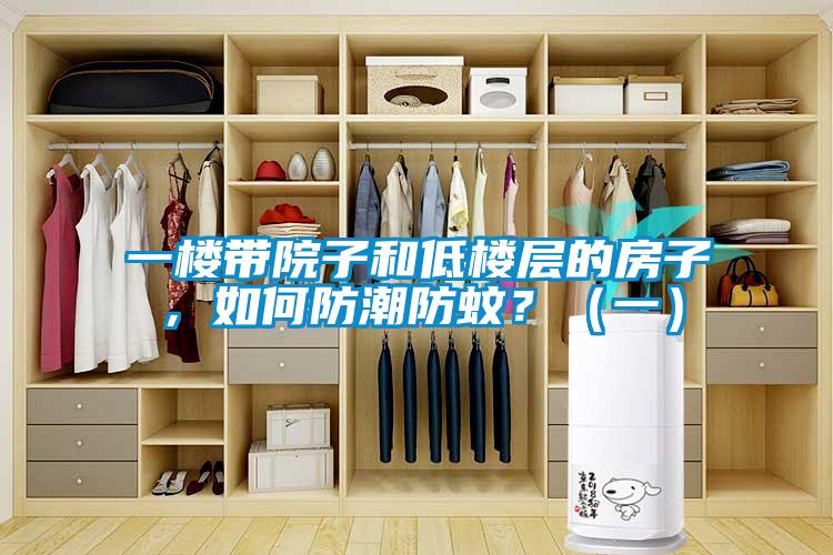 一楼带院子和低楼层的房子，如何防潮防蚊？（一）