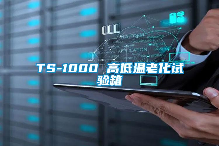 TS-1000 高低温老化试验箱
