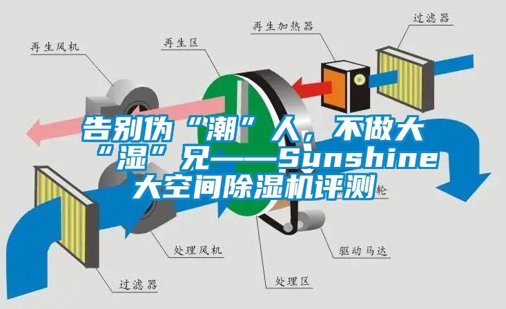 告别伪“潮”人，不做大“湿”兄——Sunshine大空间除湿机评测