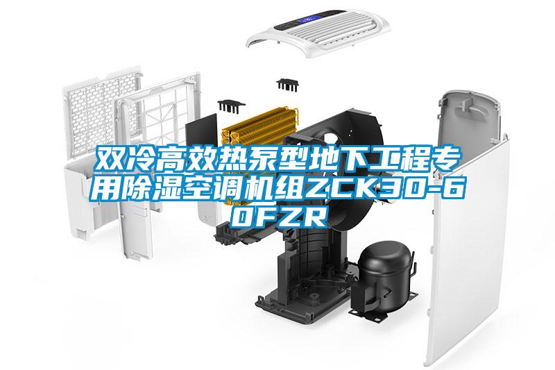 双冷高效热泵型地下工程专用除湿空调机组ZCK30-60FZR