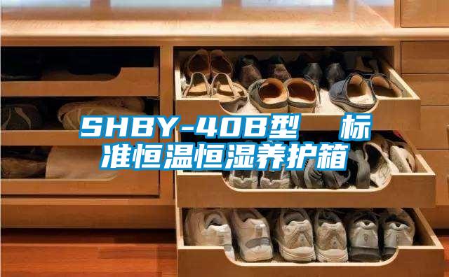 SHBY-40B型  标准恒温恒湿养护箱