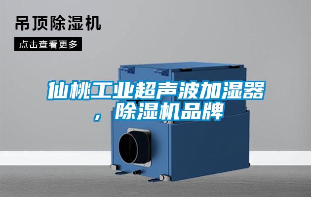 仙桃工业超声波加湿器，除湿机品牌