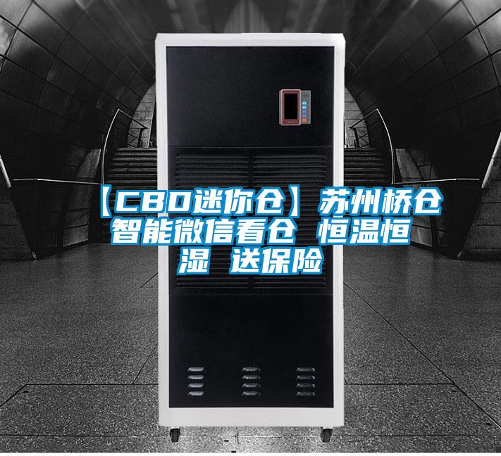 【CBD迷你仓】苏州桥仓 智能微信看仓 恒温恒湿 送保险