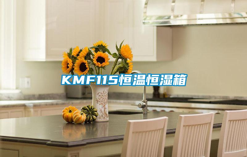 KMF115恒温恒湿箱