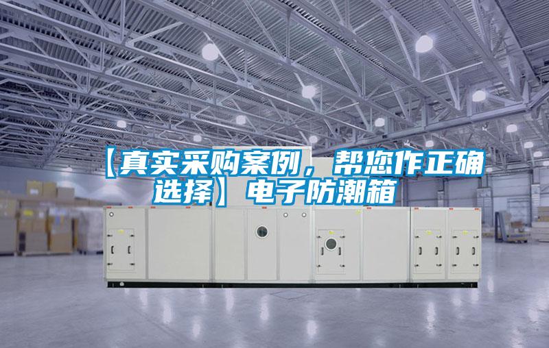 【真实采购案例，帮您作正确选择】电子防潮箱