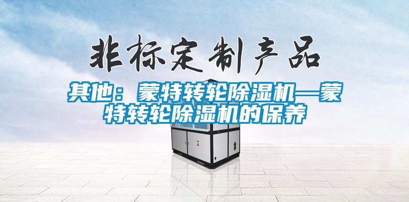 其他：蒙特转轮除湿机—蒙特转轮除湿机的保养