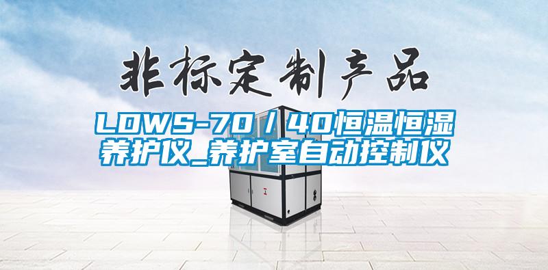 LDWS-70／40恒温恒湿养护仪_养护室自动控制仪