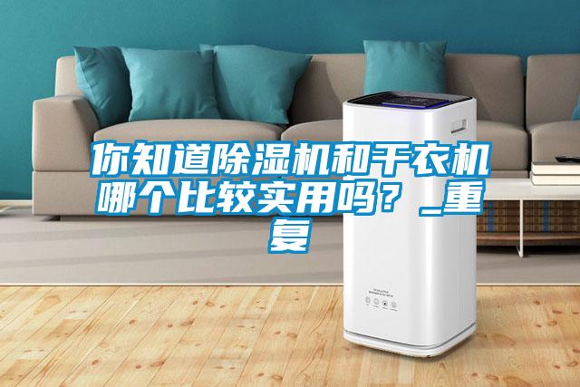 你知道除湿机和干衣机哪个比较实用吗？_重复